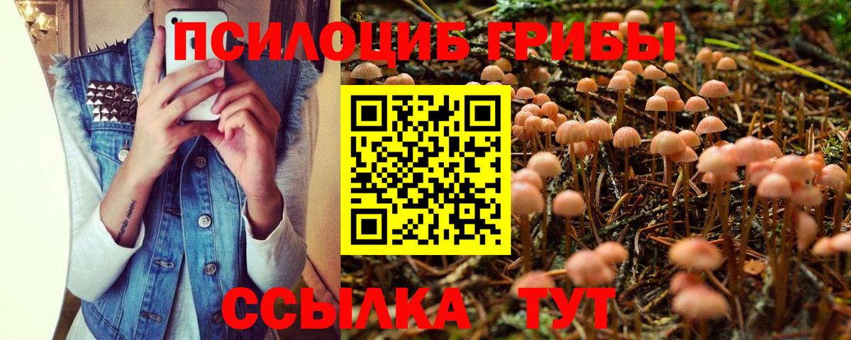 Бийск  Псилоцибиновые грибы мицелий  Вход с VPN 