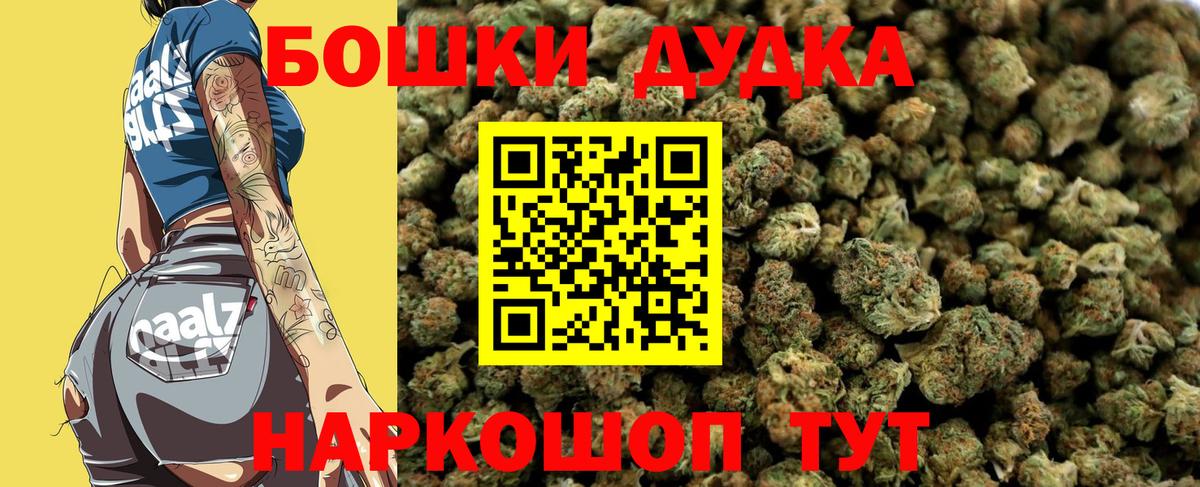 Каннабис индика  Вход с VPN  Бошки марихуана Bruce Banner  Бийск  Бошки марихуана SATIVA & INDICA  МАРИХУАНА планчик 